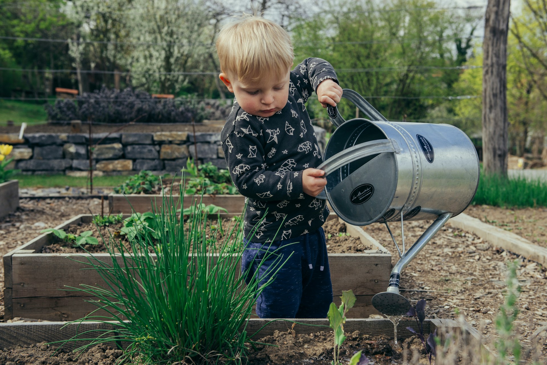 Kleinkind gießt mit einer Metallkanne Wasser auf Pflanzen in einem Hochbeet. Es steht im Garten, konzentriert bei der Pflege junger Gemüse- oder Kräuterpflanzen, umgeben von weiteren Beeten und Bäumen.