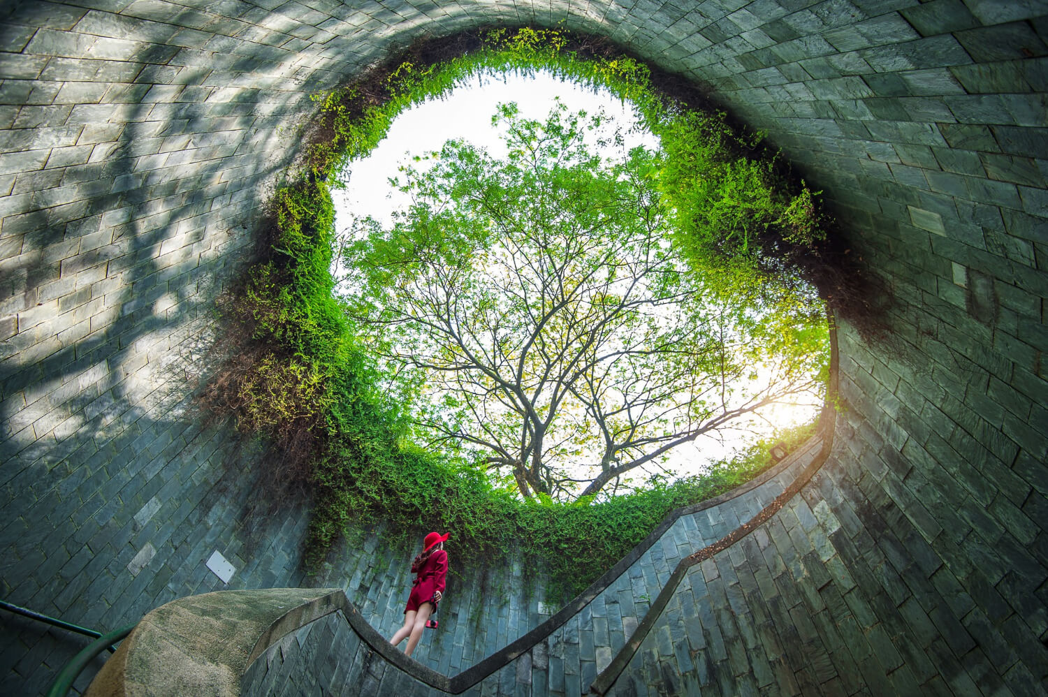 Blick aus einem großen, trichterförmigen Bauwerk nach oben zu einem von Pflanzen umrahmten Lichtschacht. In der Mitte wächst ein Baum; auf einer geschwungenen Treppe steht eine Person in roter Kleidung und blickt nach oben.