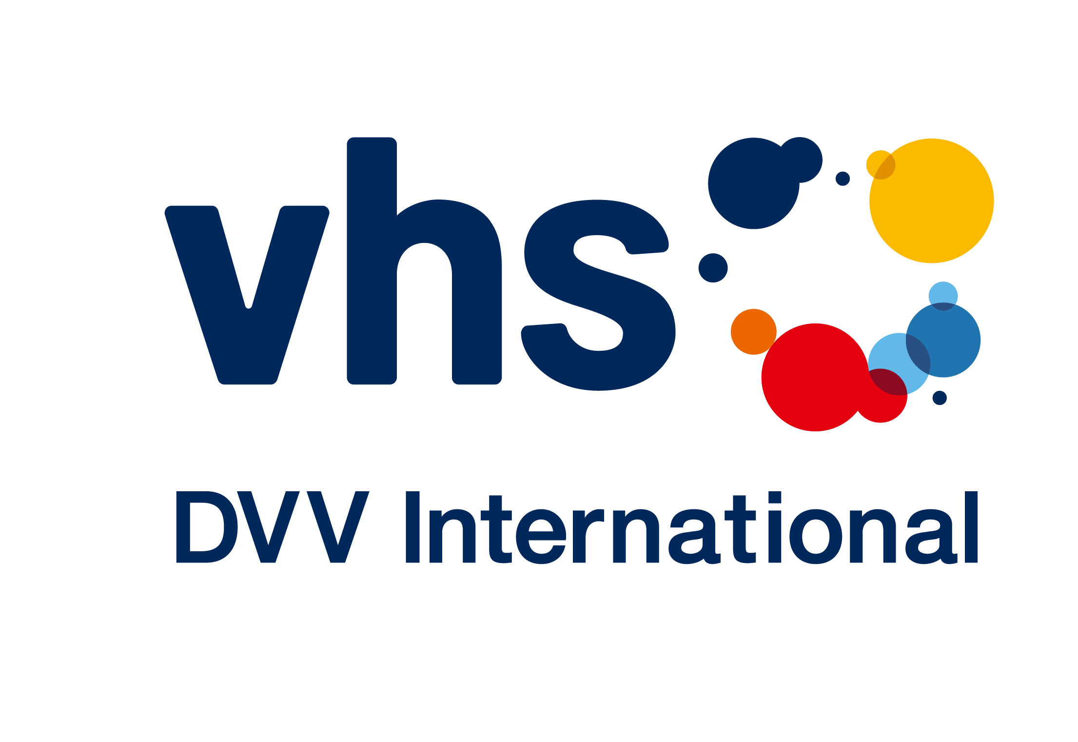 Logo DVV International