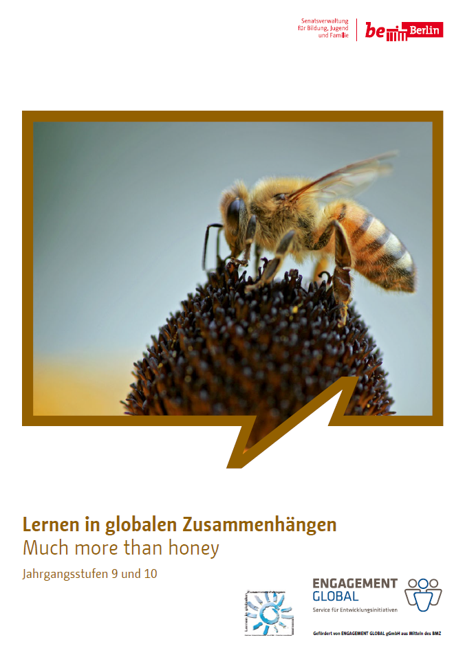 Titelseite Lernen in globalen Zusammenhängen – Much more than honey