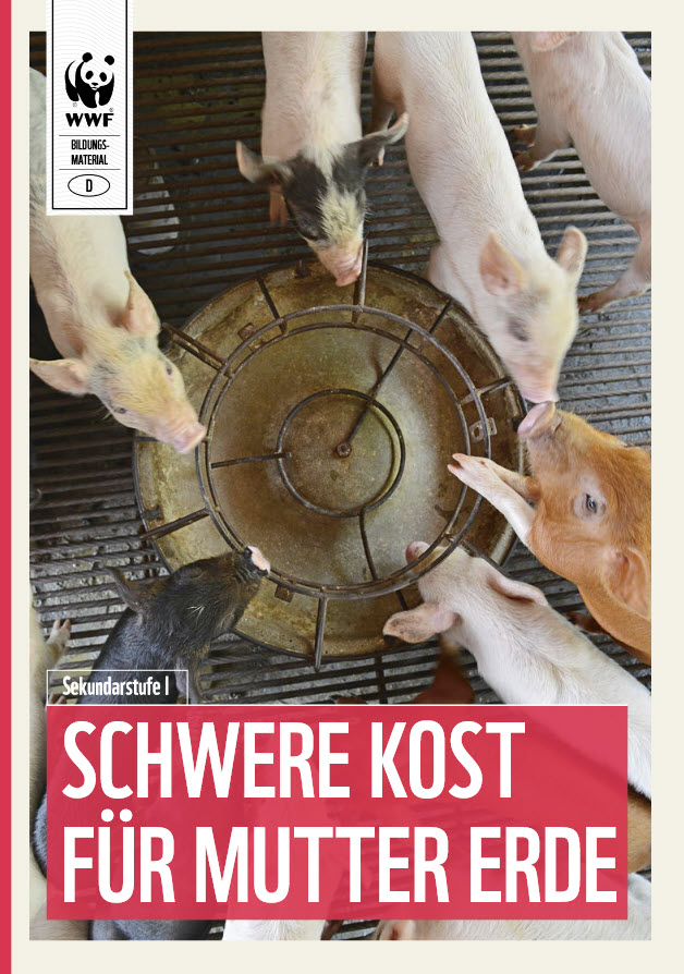 Zu sehen sind Schweine aus der Vogelperspektive. Sie stehen um einen leeren Futtertog herum. Titelseite des Bildungsmaterials „Fleisch frisst Land“. Quelle: WWF Deutschland