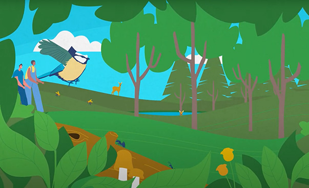 Zeichnung Wald mit Pflanzen, Bäumen, Vögeln und Menschen. Bild zum Erklärvideo „Artenvielfalt und Nachhaltige Entwicklung" Quelle: Engagement Global, https://www.engagement-global.de/