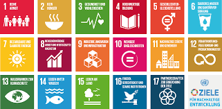 Die 17 Ziele für nachhaltige Entwicklung (Sustainable Development Goals, SDG). Quelle: https://unric.org/de/17ziele/