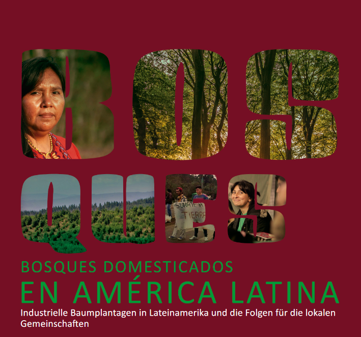 Titelbild BOSQUES domesticados en América Latina. Schrift auf dem Hintergrund von industriellen Baumplantagen. Quelle: fdcl.org