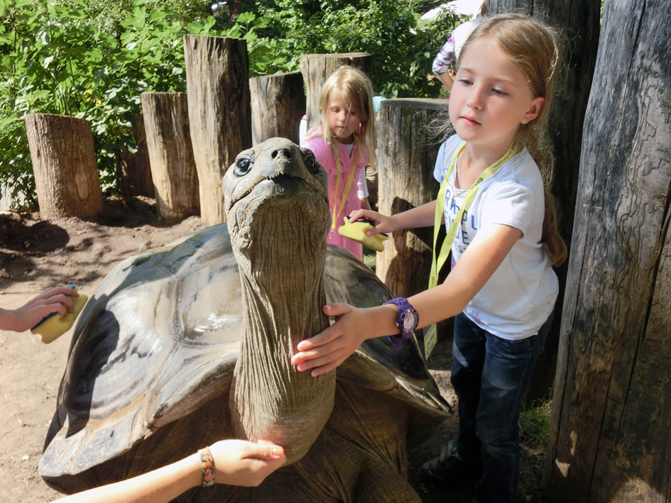 Kinder streicheln Riesenschildkröte. Quelle: Zooschule Heidelberg