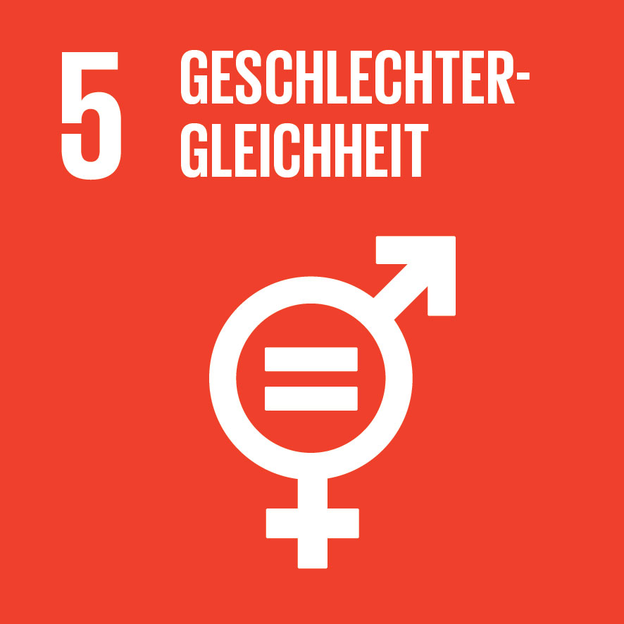 SDG Icon 5