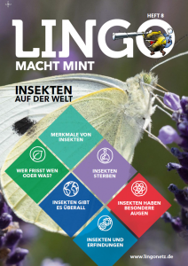 Insekten sind alles andere als "eklig" und unnütz, sondern tragen viel gegen den Klimawandel und für unser Ökosystem bei.
