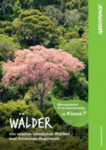 Bildungsmaterial Wälder: Von unseren heimischen Wäldern zum Amazonas-Regenwald. 