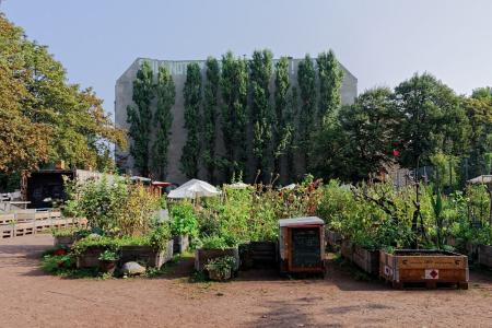 Garten in Berlin-Wedding