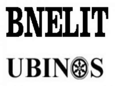 Logo BNELIT. Quelle: bne.uni-osnabrueck.de