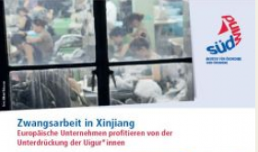 Factsheet Zwangsarbeit. Quelle: suedwind-institut.de