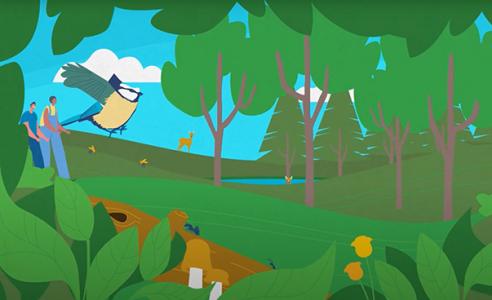 Zeichnung Wald mit Pflanzen, Bäumen, Vögeln und Menschen. Bild zum Erklärvideo „Artenvielfalt und Nachhaltige Entwicklung" Quelle: Engagement Global, https://www.engagement-global.de/