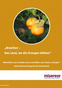 Ockerfarbener Hintergrund, Foto von zwei Orangen am Baum und Schriftzug "Brasilien – Das Land, wo die Orangen blühen." Cover des Heftes. Quelle: misereor.de