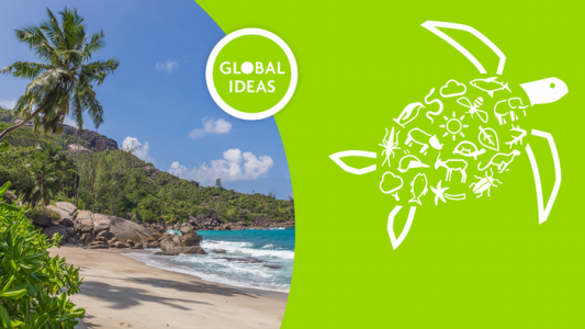 Ein Strand mit einer Palme neben einer Grafik einer Schildkröte, die verschiedene Symbole enthält. Quelle: dw.com
