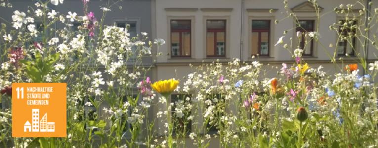 Eine Blumenwiese vor dem Hintergrund einer Häuserfassade. Im Vordergrund das Icon des SDG 11.