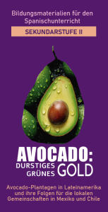 Das Bild zeigt eine Avocado, die so halbiert ist, dass man den Kern sehen kann. Außerdem sind auf dem Bild viele Wassertropfen zu sehen. 