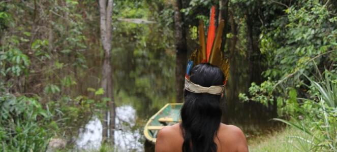 Eine Person mit langem schwarzem Haar und einem Kopfschmuck aus bunten Federn fährt mit einem kleinen Boot durch einen dicht bewachsenen tropischen Wald. Das Boot liegt auf einem schmalen, ruhigen Wasserlauf, der von üppiger Vegetation gesäumt ist.