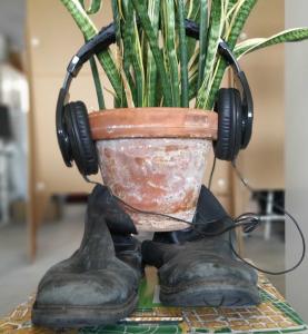 Symbolbild Audiowalk Koloniale Spurensuche in den Gärten der Welt. Eine Pflanze, die auf einem Schuh steht und Kopfhörer trägt. Quelle: grenzgaenge.net