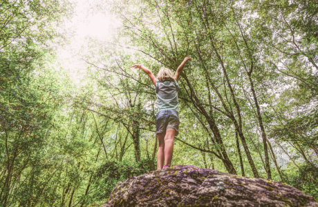 Ein Kind steht mit ausgebreiteten Armen auf einem großen Felsen in einem grünen Wald. Sonnenlicht fällt durch die dicht belaubten Bäume.