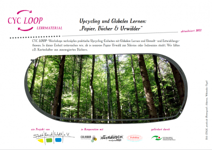 Titelseite, Foto eines Waldes, Blick in die Baumkronen.