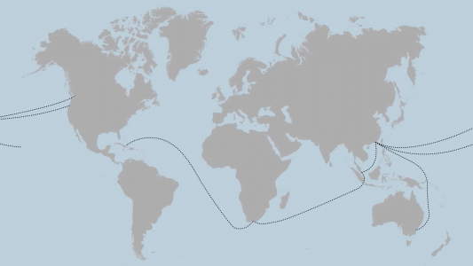 Ausschnitt des Erklärvideos. Illustration einer Weltkarte. Quelle: Engagement Global.