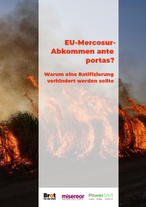 Das Bild zeigt brennende Vegetation mit dichten Rauchwolken. In der Bildmitte steht in roter Schrift: „EU-Mercosur-Abkommen ante portas? Warum eine Ratifizierung verhindert werden sollte“. Unten sind die Logos von Brot für die Welt, Misereor und PowerShift zu sehen. Die Gestaltung warnt vor den Folgen des Abkommens für Umwelt und Gerechtigkeit.