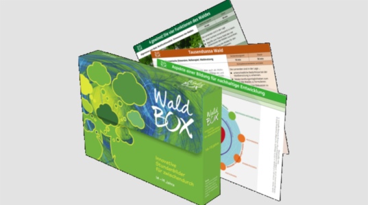 Grüne Lernbox mit der Aufschrift „WaldBox“. Auf der Vorderseite stilisierte Bäume in Hell- und Dunkelgrün. Hinter der Box liegen mehrere Arbeitsblätter mit Überschriften und Grafiken zu Wald, Nachhaltigkeit und Bildung für nachhaltige Entwicklung. Gesamtwirkung: pädagogisches Material zum Thema Wald.