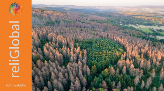 Blick über bunte Wälder. Links in orangenem Kasten der Schriftzug: reliGlobal und Tohuwabohu
