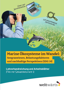 Grafische Broschürenseite: Eine Person schaut mit Fernglas über ein Seegrasfeld. Symbole zeigen Laptop („Video und Audiomaterial“) und Lupe („weiterführende Materialien“). Ein Delfin ist abgebildet. Titel: „Marine Ökosysteme im Wandel … (SDG 14)“. Unten: Lehrmaterial für Sek II.