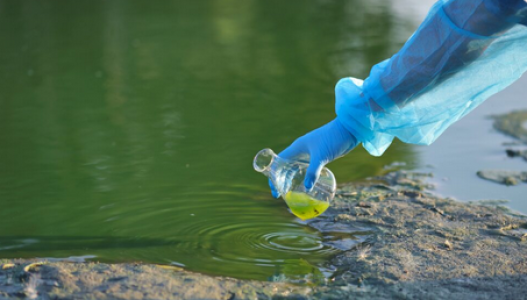 Eine Wasserprobe wird aus einem grünnen Gewässer genommen.