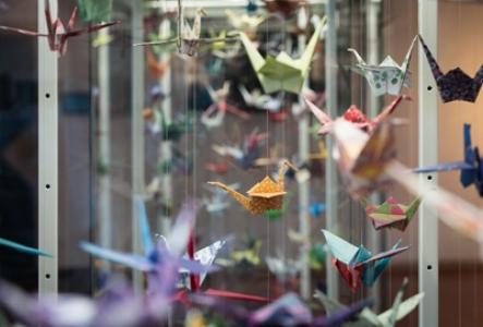 In einer Vitrine hängen zahlreiche bunte Origami-Kraniche an Fäden. Die Papierfiguren sind unterschiedlich gefaltet und teilweise farbenfroh gemustert. Im Hintergrund sind weitere Kraniche und Spiegelungen zu sehen.