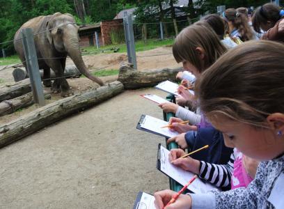 Kinder beobachten Elefanten. Quelle: Zooschule Cottbus