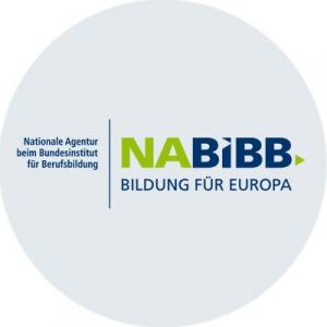 Logo NABIBB. Quelle: pbs.twimg.com