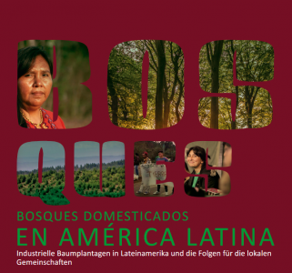 Titelbild BOSQUES domesticados en América Latina. Schrift auf dem Hintergrund von industriellen Baumplantagen. Quelle: fdcl.org