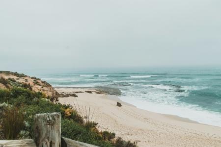 Die Aufnahme zeigt einen ruhigen Sandstrand mit sanften Wellen, die auf das Ufer treffen. Links im Vordergrund ist ein hölzerner Zaun mit verwittertem Holz zu sehen. Dahinter wachsen niedrige, grüne Pflanzen auf sandigem Boden. Die Dünen erstrecken sich entlang der Küste, während der Himmel grau und leicht neblig ist. Die Szene wirkt friedlich und naturbelassen, ohne sichtbare Menschen oder Gebäude.
