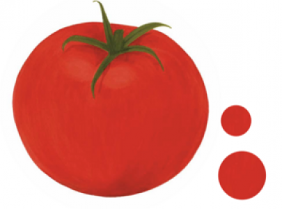 Titelbild Kunterbunte Tomatenwelt. Illustration einer tomate. Quelle: Südwind.