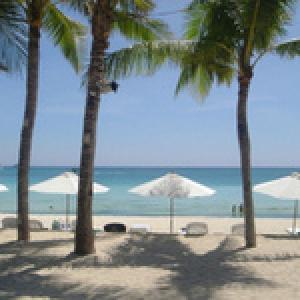 Strand mit Palmen und Schirmen