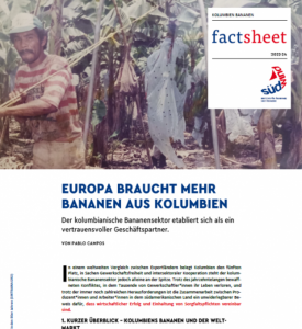 Factsheet zum Thema Bananen
