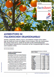 Titeseit Fact Sheet: Ausbeutung im italienischen Orangenanbau.