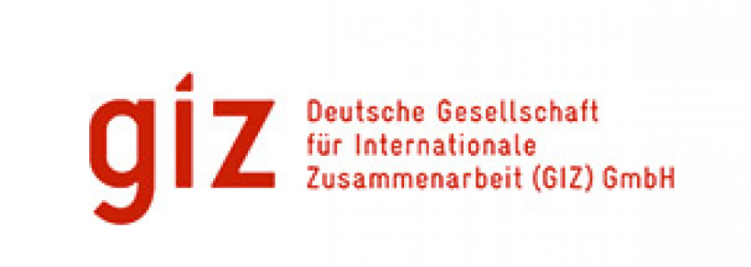 Logo GIZ