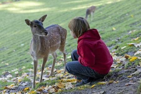 Kind kniet vor einem Reh - Tiere erleben. Quelle: Wildpark Schwarze Berge in Vahrendorf 
