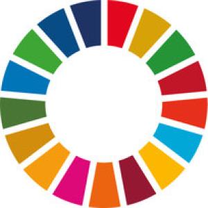 Kreisförmig angeordnetes Symbol der 17 UN-Nachhaltigkeitsziele (SDGs). Die farbigen Segmente bilden einen Ring um eine weiße Mitte. Die Farben reichen von Blau und Grün über Gelb und Orange bis Rot, Violett und Pink.