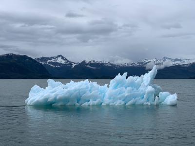 Eisscholle. Zu sehen ist eine kleine Scholle inmitten des arktischen Ozeans. Quelle: Melissa Bradley auf Unsplash.