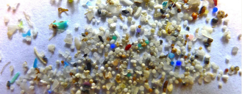 kleine Plastikteilchen