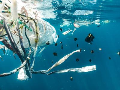 Plastik im Meer. Mehrere Plastikteile treiben im Meer, um sie herum schwimmen kleine Fische. Quelle und Copyright: Foto von Naja Bertolt Jensen auf unsplash. 