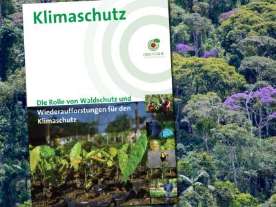 Titelseite der Broschüre „Klimaschutz - Die Rolle von Waldschutz und Wiederaufforstungen für den Klimaschutz“. Copyright: E.Mannigel / OroVerde
