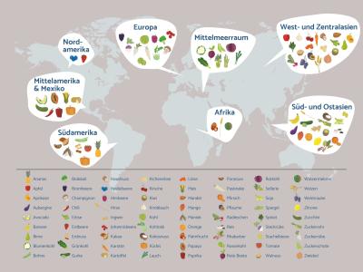 Eine Weltkarte zeigt die Herkunftsregionen von Obst und Gemüse. Sprechblasen markieren 8 Regionen (z. B. Europa, Afrika, Südamerika) mit illustrierten Lebensmitteln. Eine Legende listet ca. 80 Arten alphabetisch auf.