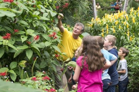 Kinder und Erwachsener bei einer Führung im Tropengewächshaus. Quelle: Stiftung Papiliorama  