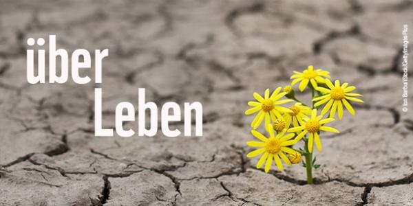 gelbe Blume wächst aus trockenem Boden. Dazu der Schriftzug „ÜberLeben“