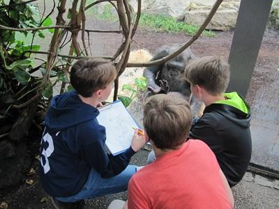 Drei Kinder beobachten einen Primaten hinter einer Glasscheibe und machen sich Notizen. Szene aus der Tierparkschule Hellabrunn München. Quelle: Tierpark Hellabrunn München 